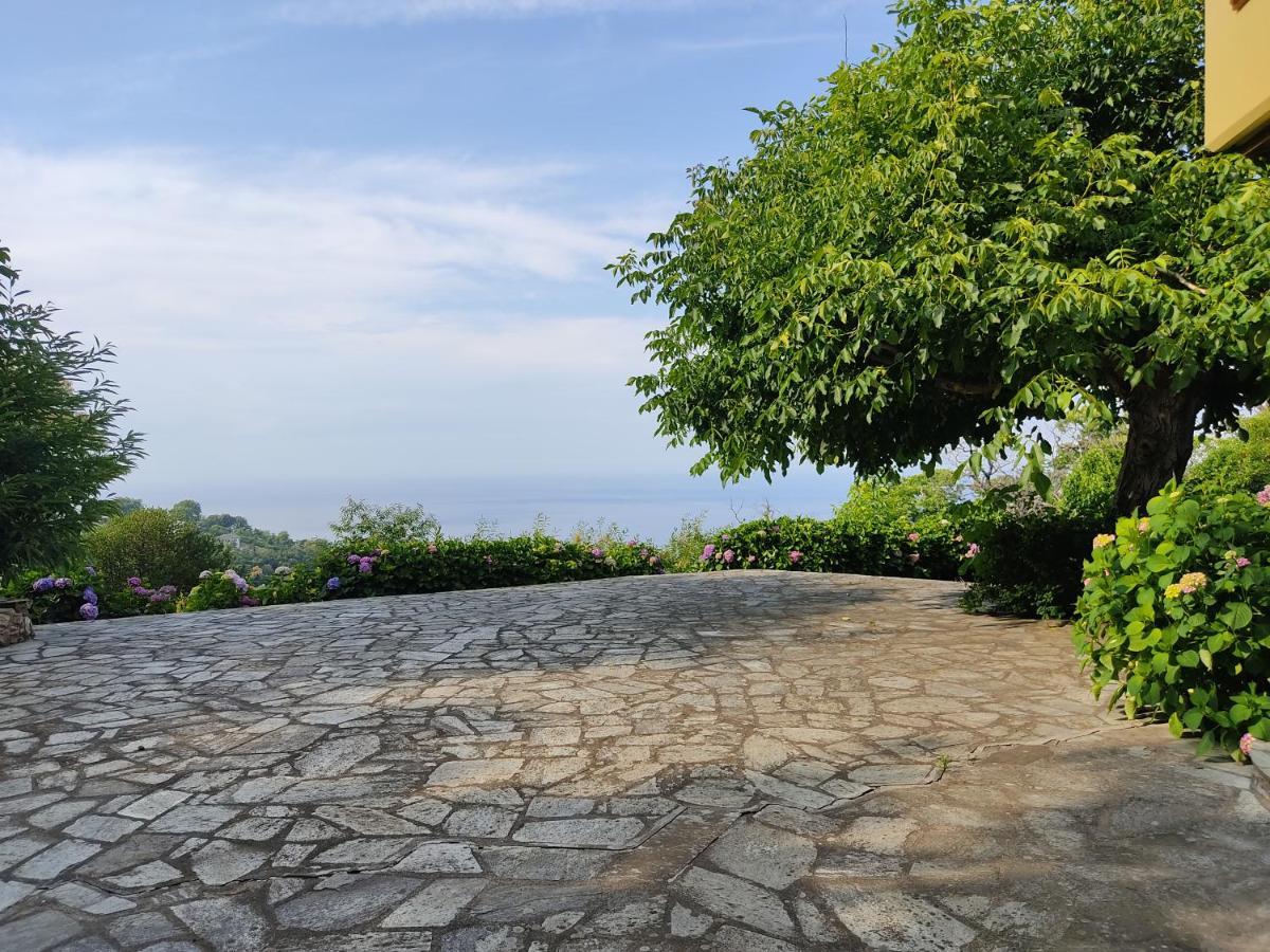 White Stone House With Great Sea View Villa Tsagkarada Eksteriør billede